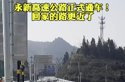 永新高速公路正式通車！回家的路更近了