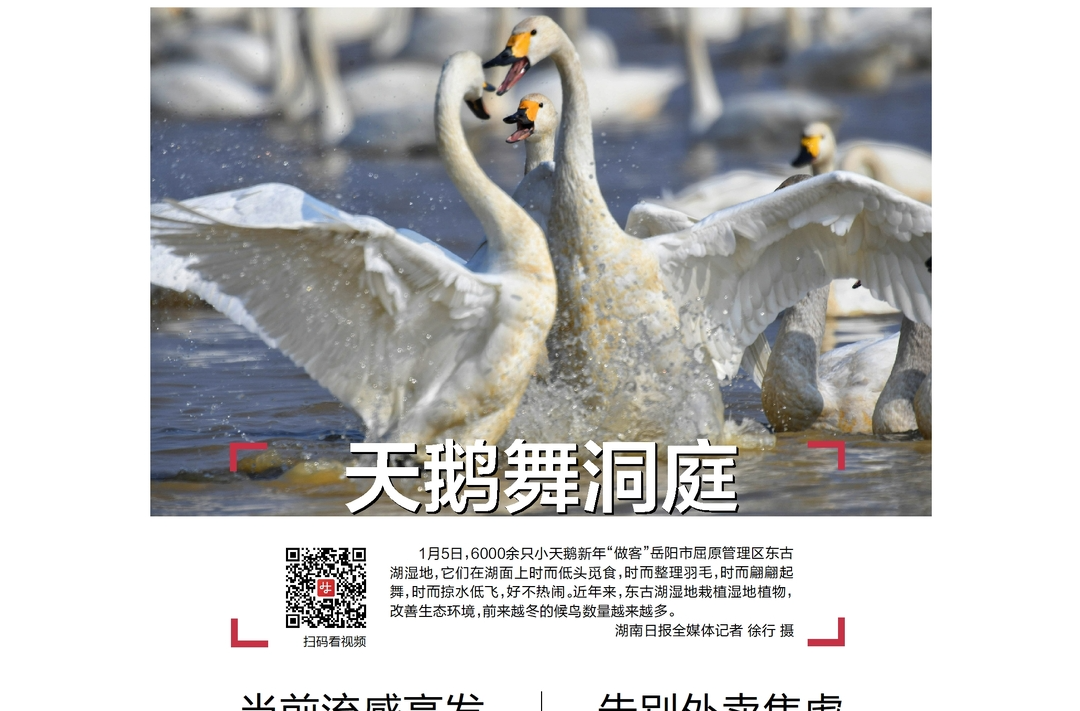 读报|1月6日《三湘都市报》版面速览