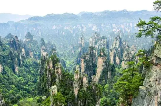 张家界： “以外促内”提升旅游业，凝神聚力发展绿色工业
