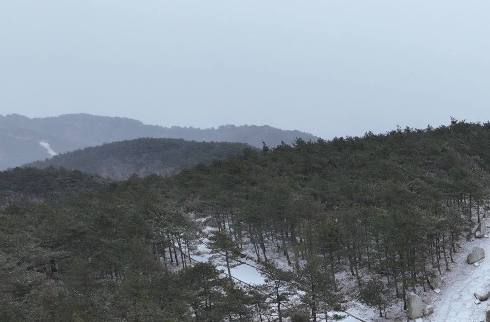 过年啦丨张家界黄石寨迎蛇年首场降雪