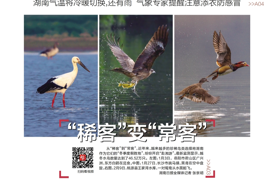 读报|2月17日《三湘都市报》版面速览