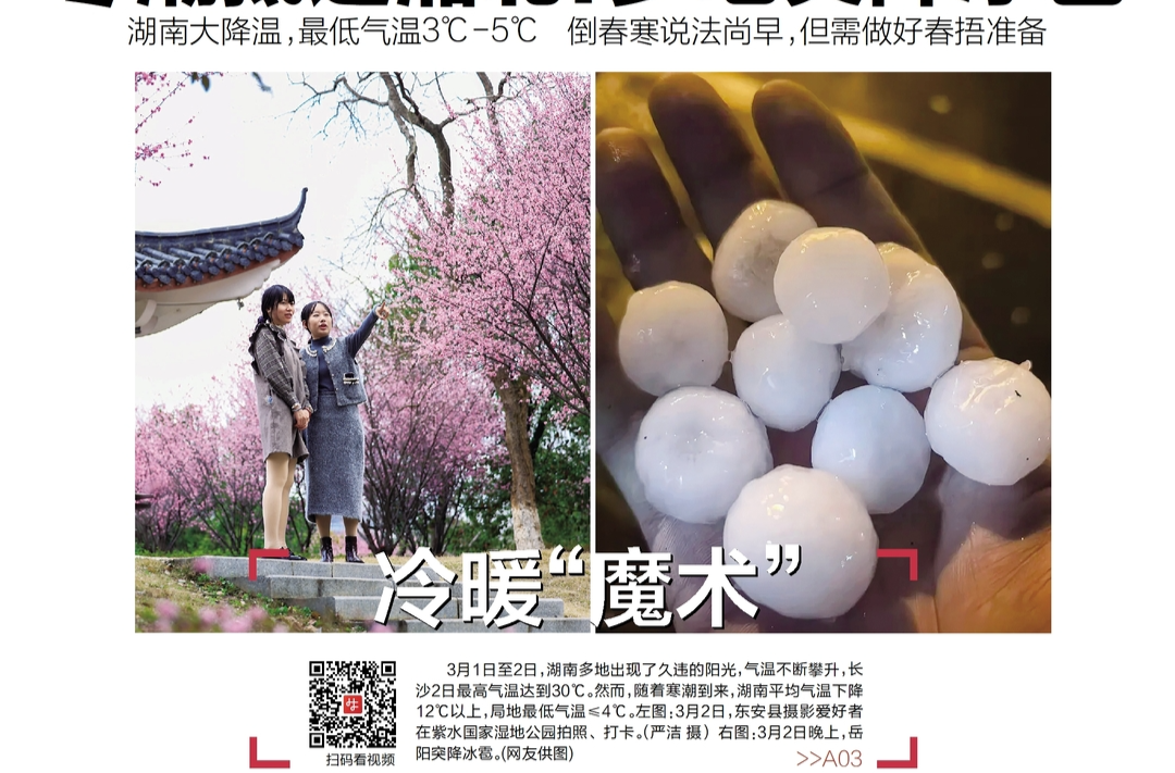读报|3月3日《三湘都市报》版面速览