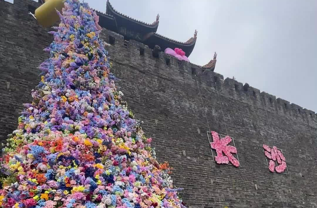 长沙天心阁古城墙首披“繁花战甲”，“花神”献礼妇女节