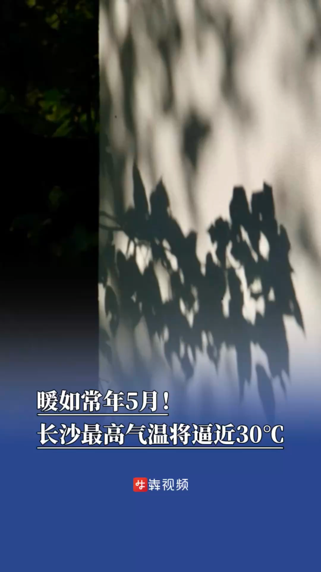 暖如常年5月！今后7天长沙最高气温将逼近30℃