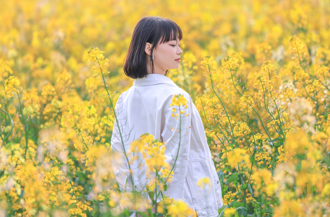 我是刘贵香  |  油菜花