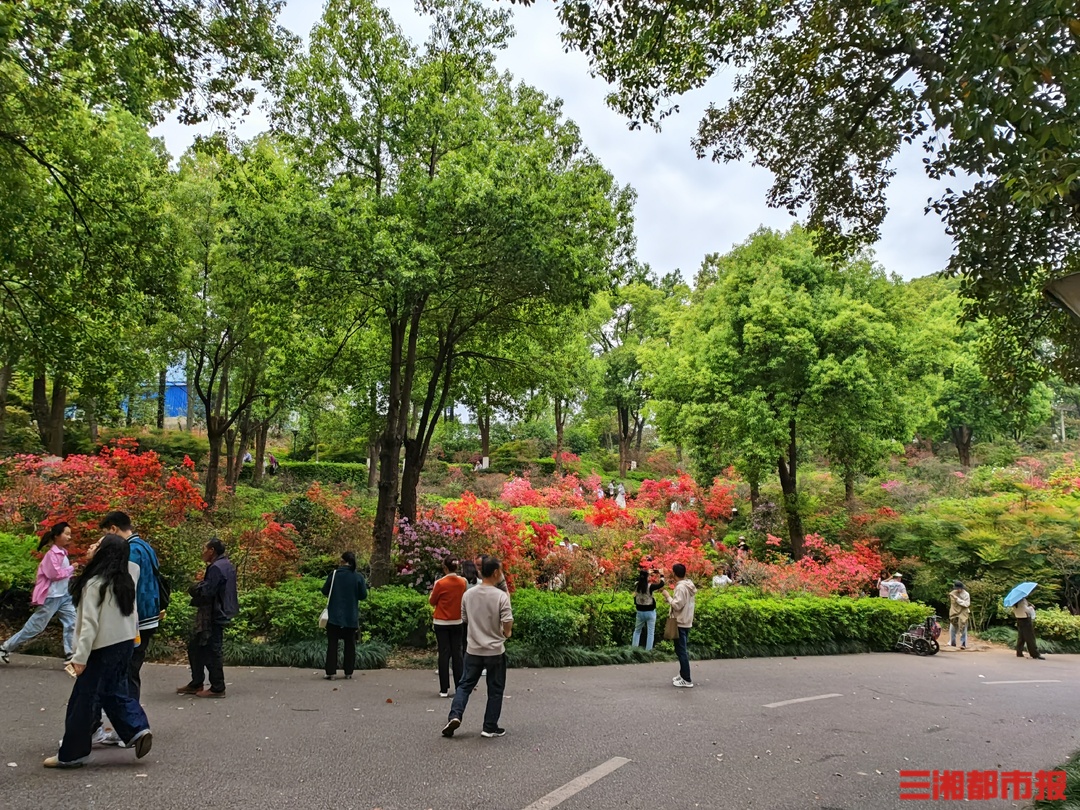 清明“花”式出游！湖南累计接待游客近2000万人次