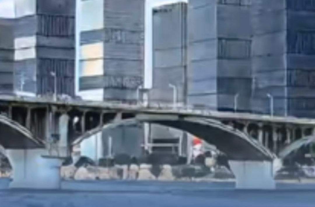 优秀！长沙智能建造试点获住建部通报表扬