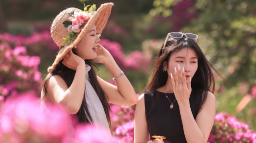 我是刘贵香丨 四月的长沙是杜鹃花的主场