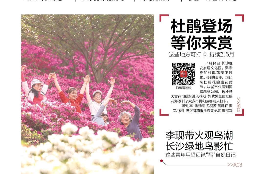 读报|4月15日《三湘都市报》版面速览