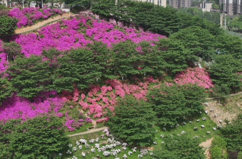 湖南旅游 | 春和景明，湖南自驾游目的地推荐