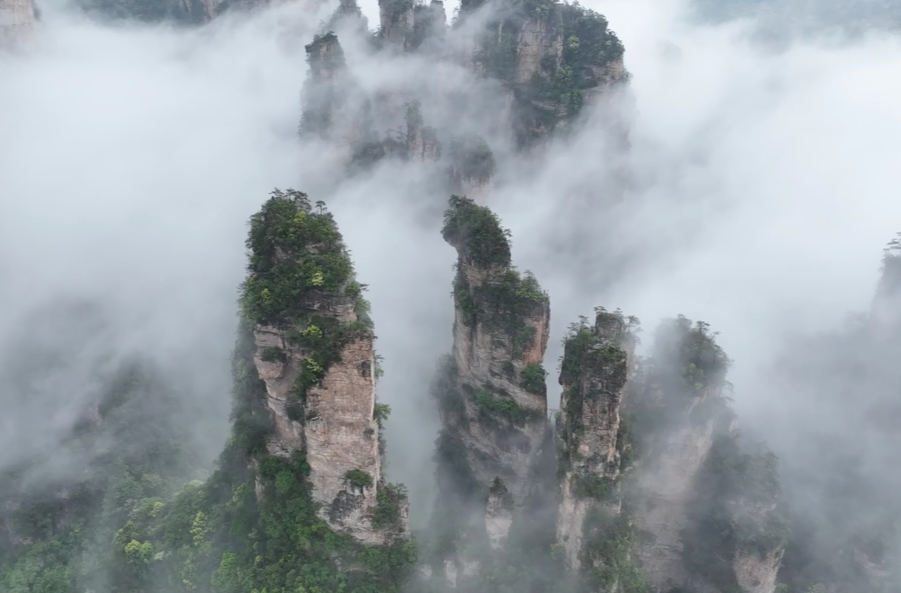 湖南旅游丨雨后张家界武陵源峰林云海如画，网友：原来这就是老外眼中“Miracle”
