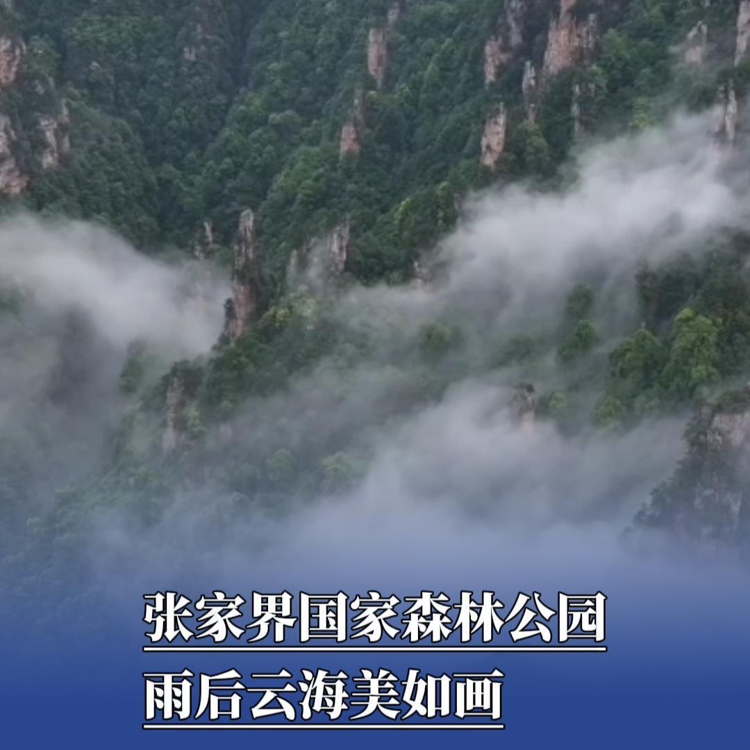 张家界国家森林公园：雨后云海美如画