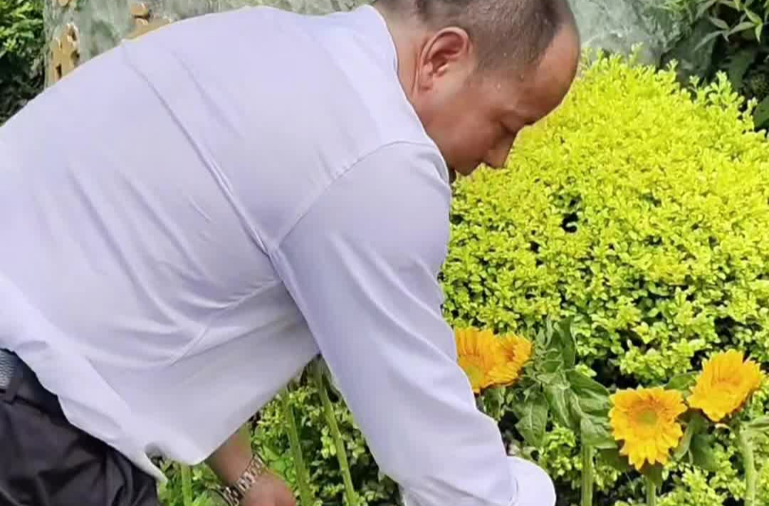 怀念！袁隆平家人在其墓前种下22株向日葵