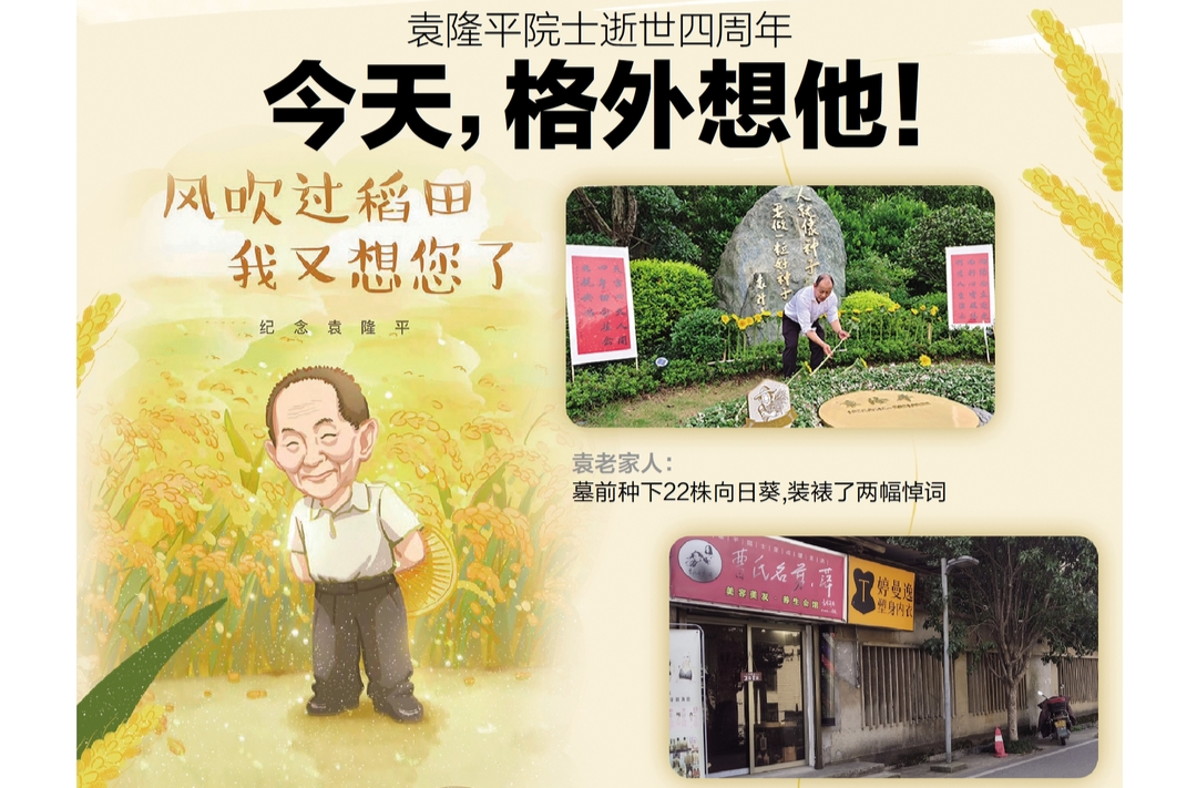 读报|5月22日《三湘都市报》版面速览