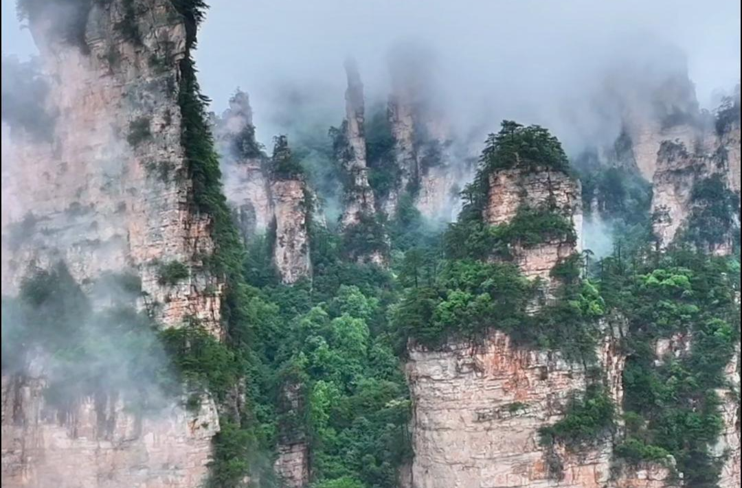 雨洗峰林丹青现，张家界雨后云海绘就水墨画卷