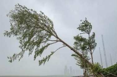 南海夏季风爆发！我国进入主汛期