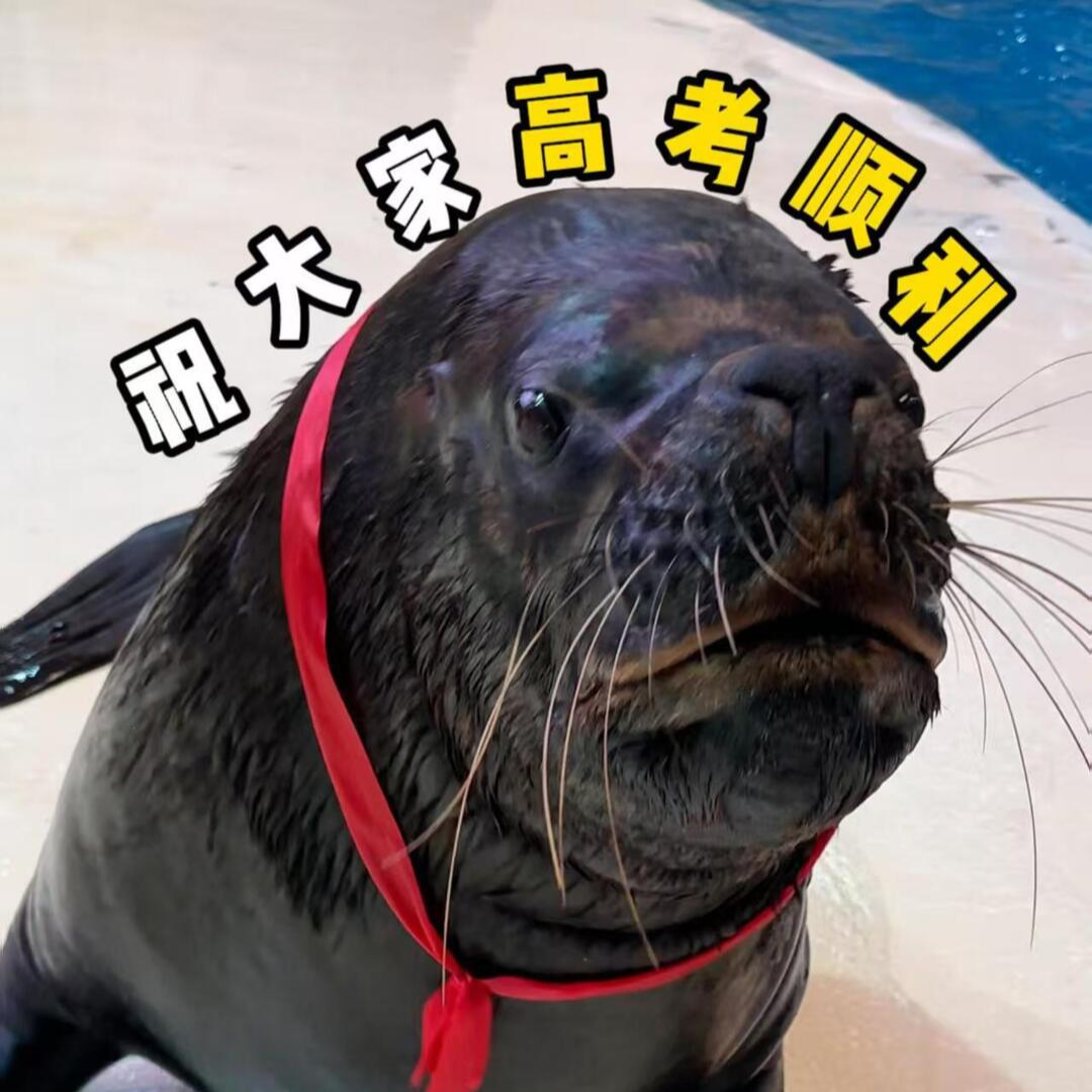 “企”开得胜 “狮”在必得……长沙海底世界动物送上高考祝福