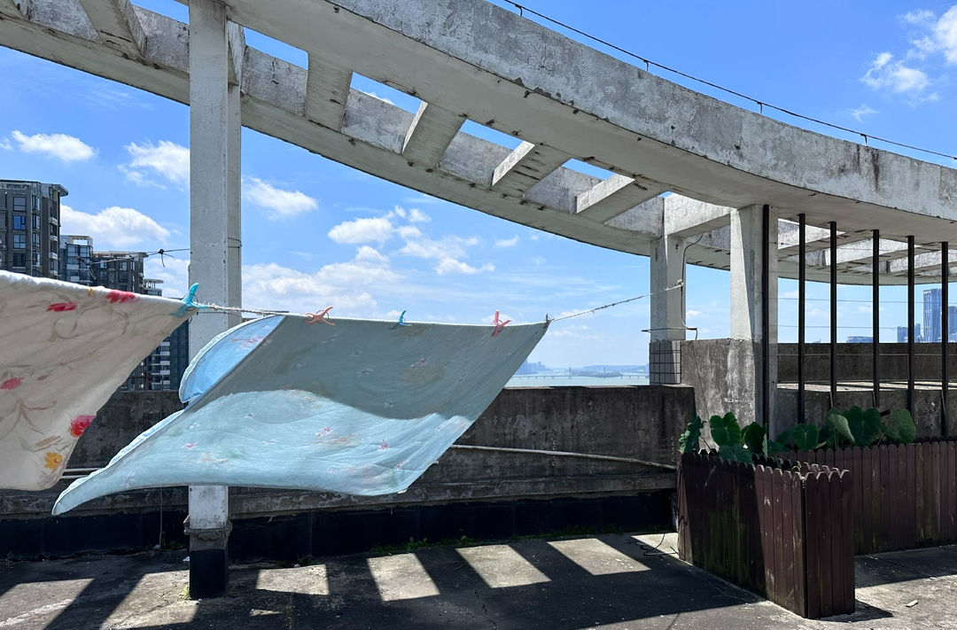 小区大事｜“买顶层送露台”，业主封顶层做阳光房却被叫停 