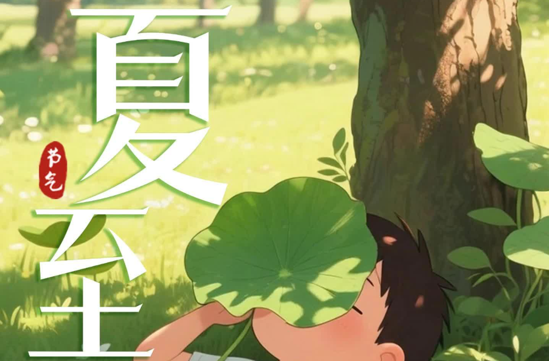 二十四节气·夏至