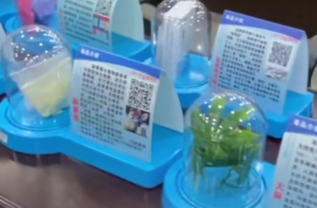 非法种植大麻，多次犯事的他又栽了