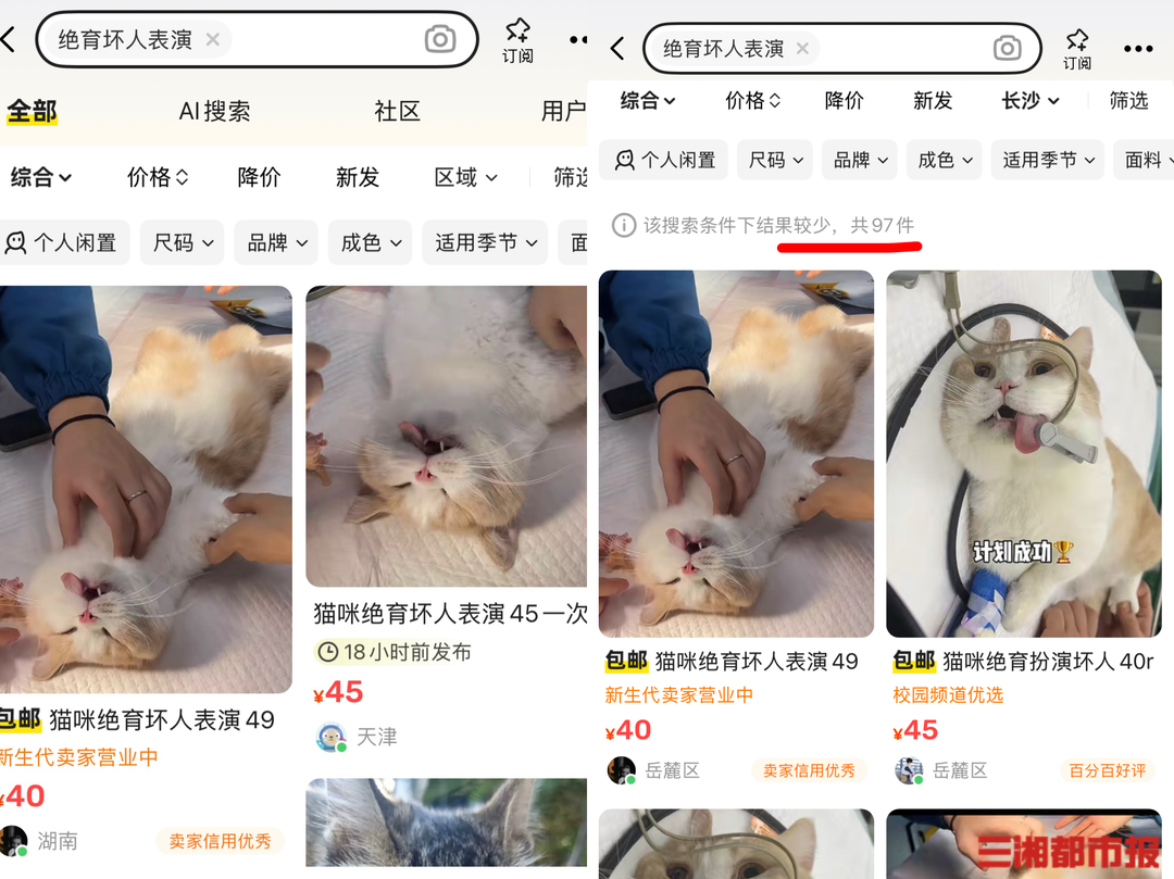 宠物“绝育坏人演员”兴起，50元上门“抢猫”帮主人“转移仇恨”