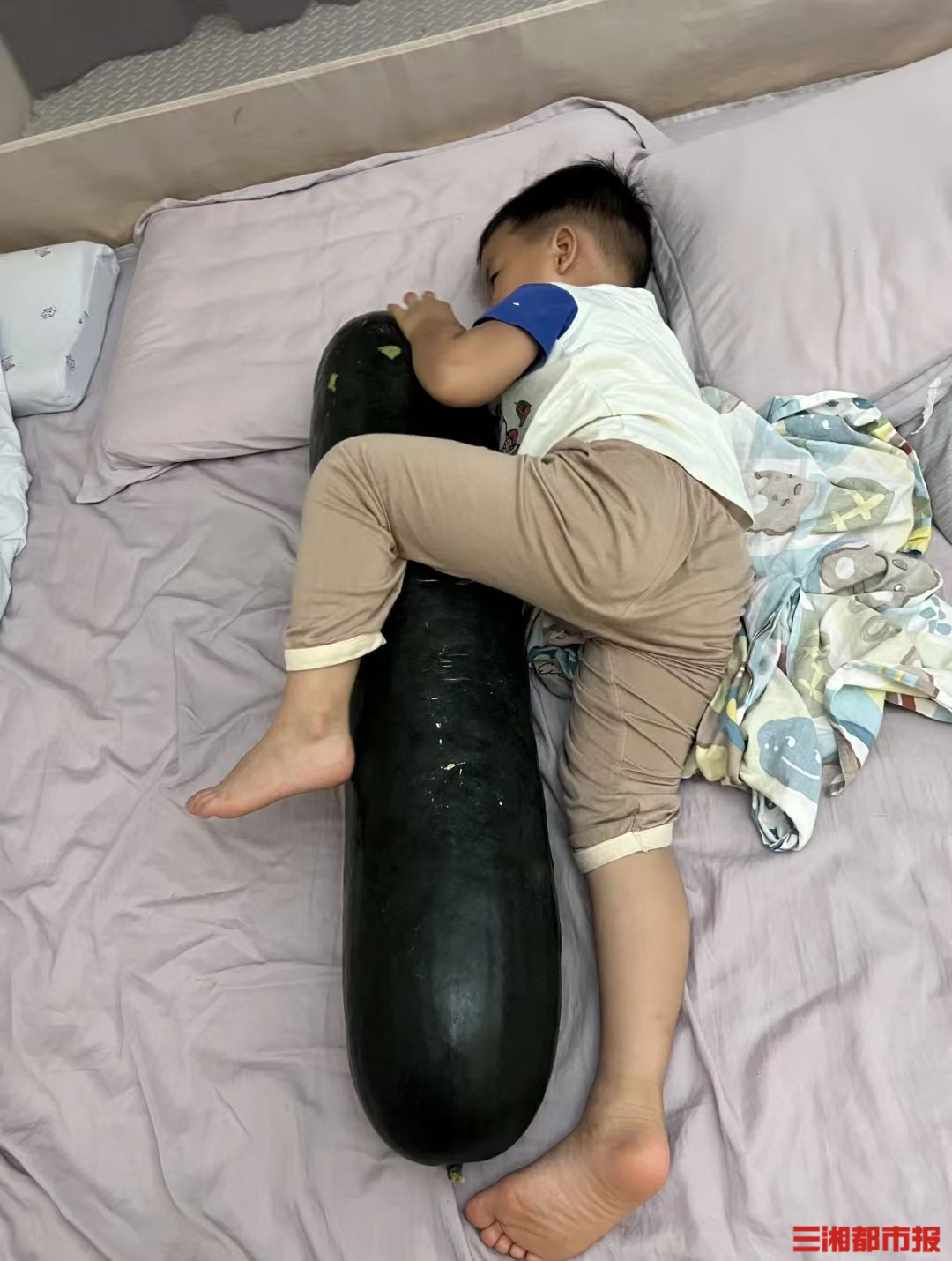 “抱冬瓜睡覺”走紅？確實(shí)有效但并不適合所有人