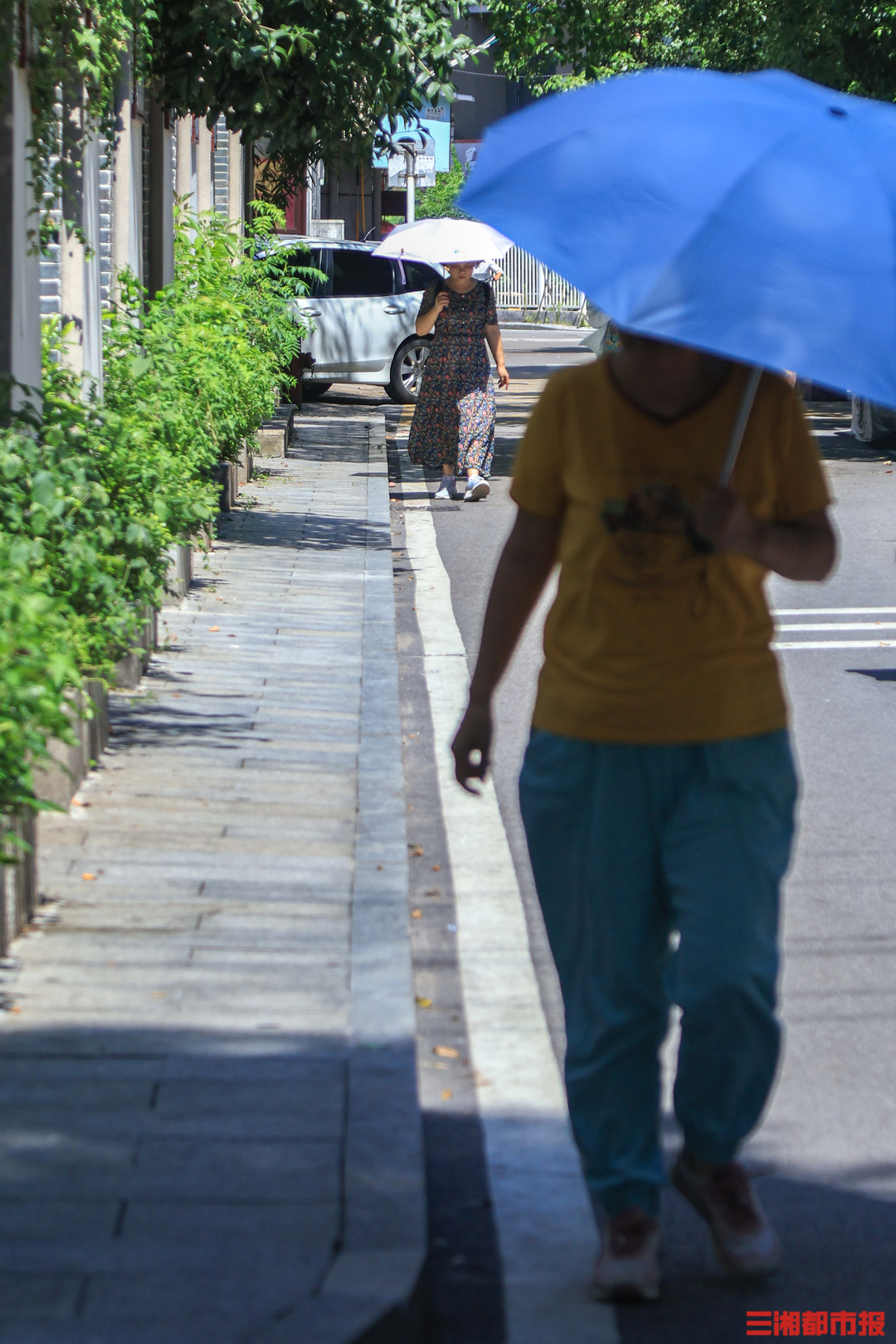 我是刘贵香  ︳炎炎夏日