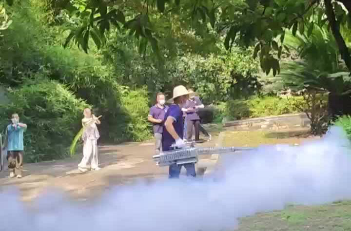 小区病媒消杀，湖南开展“全民灭蚊”行动