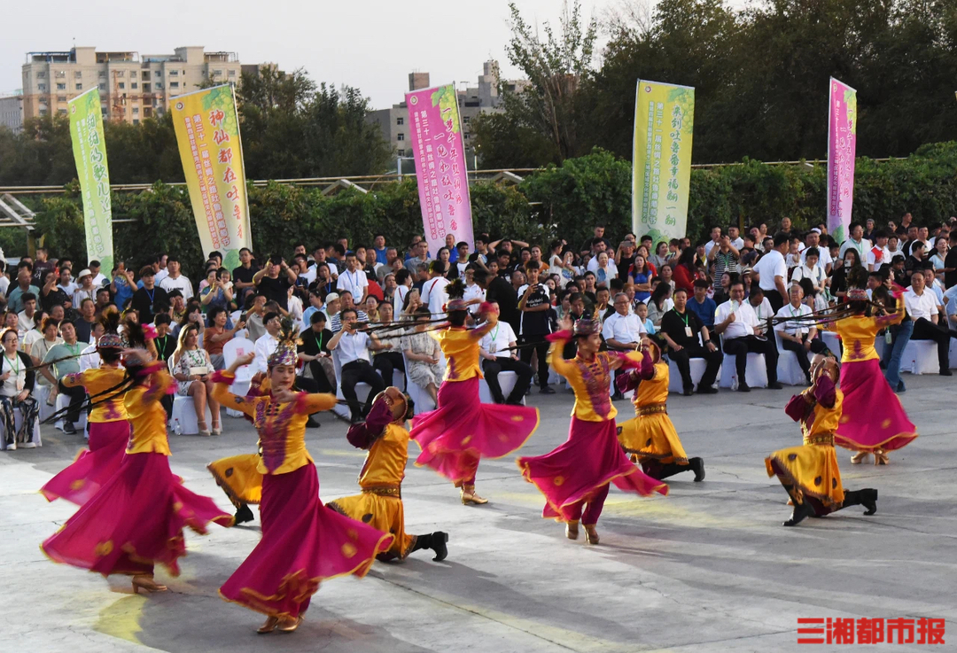 葡萄熟了、沙疗出圈…… 新疆吐鲁番机票预订量增六成 