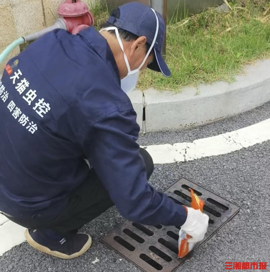 大扫除和灭蚊行动怎么搞？记者体验长沙“每周三”爱卫行动