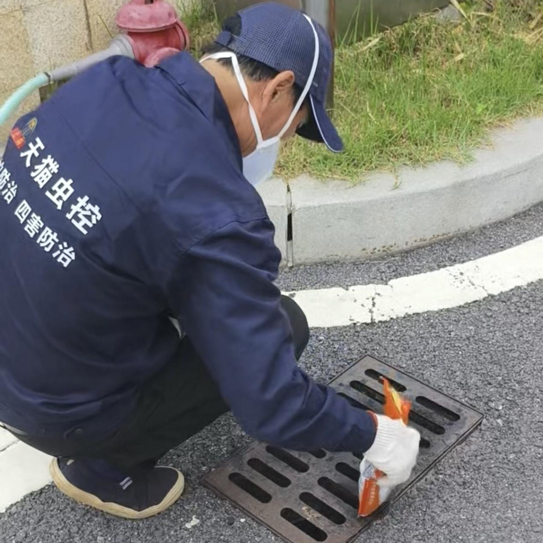 健康防“蚊”战，“基孔肯雅热”防控指南来啦