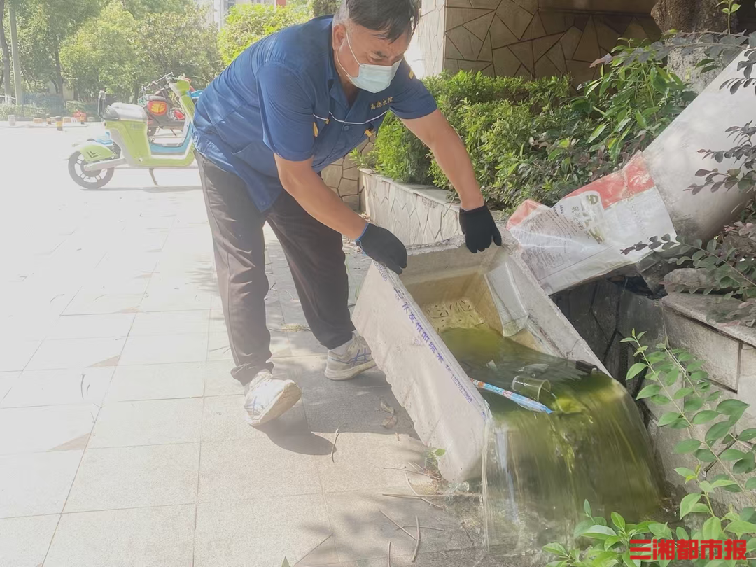 湖南疾控划重点，基孔肯雅热的7大场所“防控指南”来了