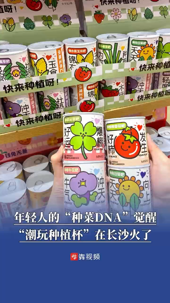 年輕人的“種菜DNA”覺醒，“潮玩種植杯”在長沙火了