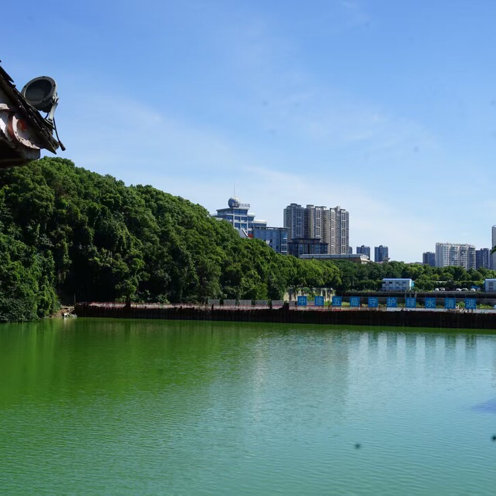 《長(zhǎng)沙市城市公園管理辦法》9月1日施行：嚴(yán)禁擅自改變綠化用地使用性質(zhì)