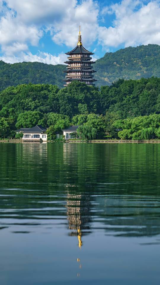 西湖為枯死柳樹發(fā)更換公示，網友：“西湖每棵樹都有自己的粉絲”