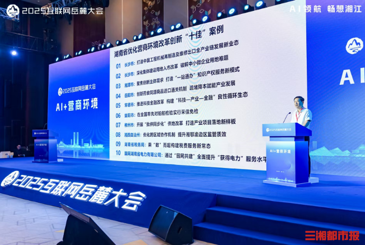 2025互联网岳麓大会｜湖南省优化营商环境改革创新“十佳”案例正式发布