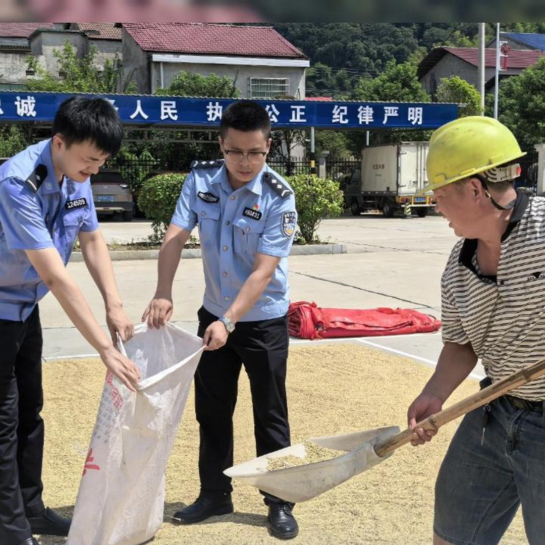 乡亲们，快来晒谷！益阳一派出所500平方米地坪变晒谷场