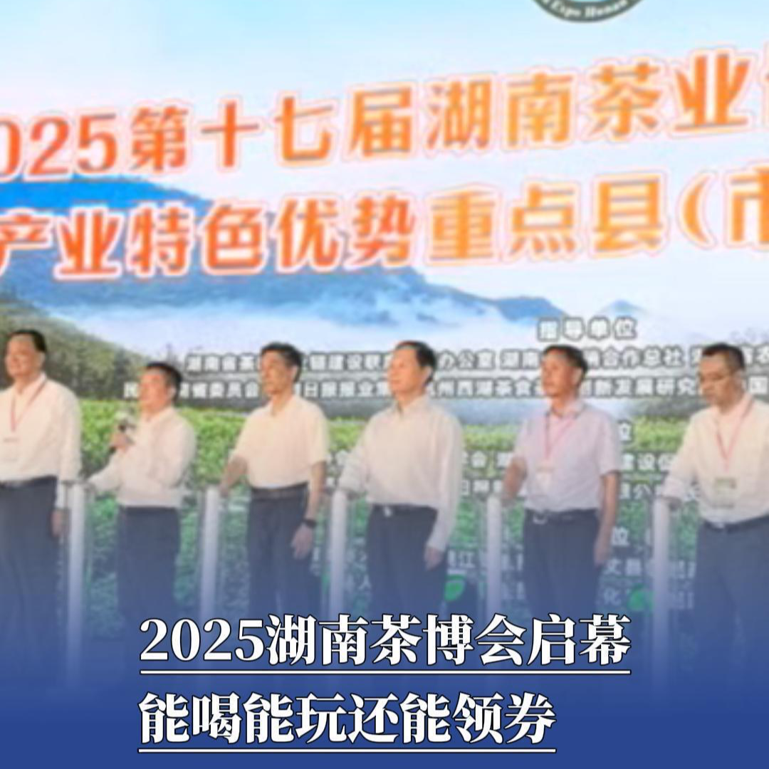 打卡茶博会丨2025湖南茶博会启幕，能喝能玩还能领券