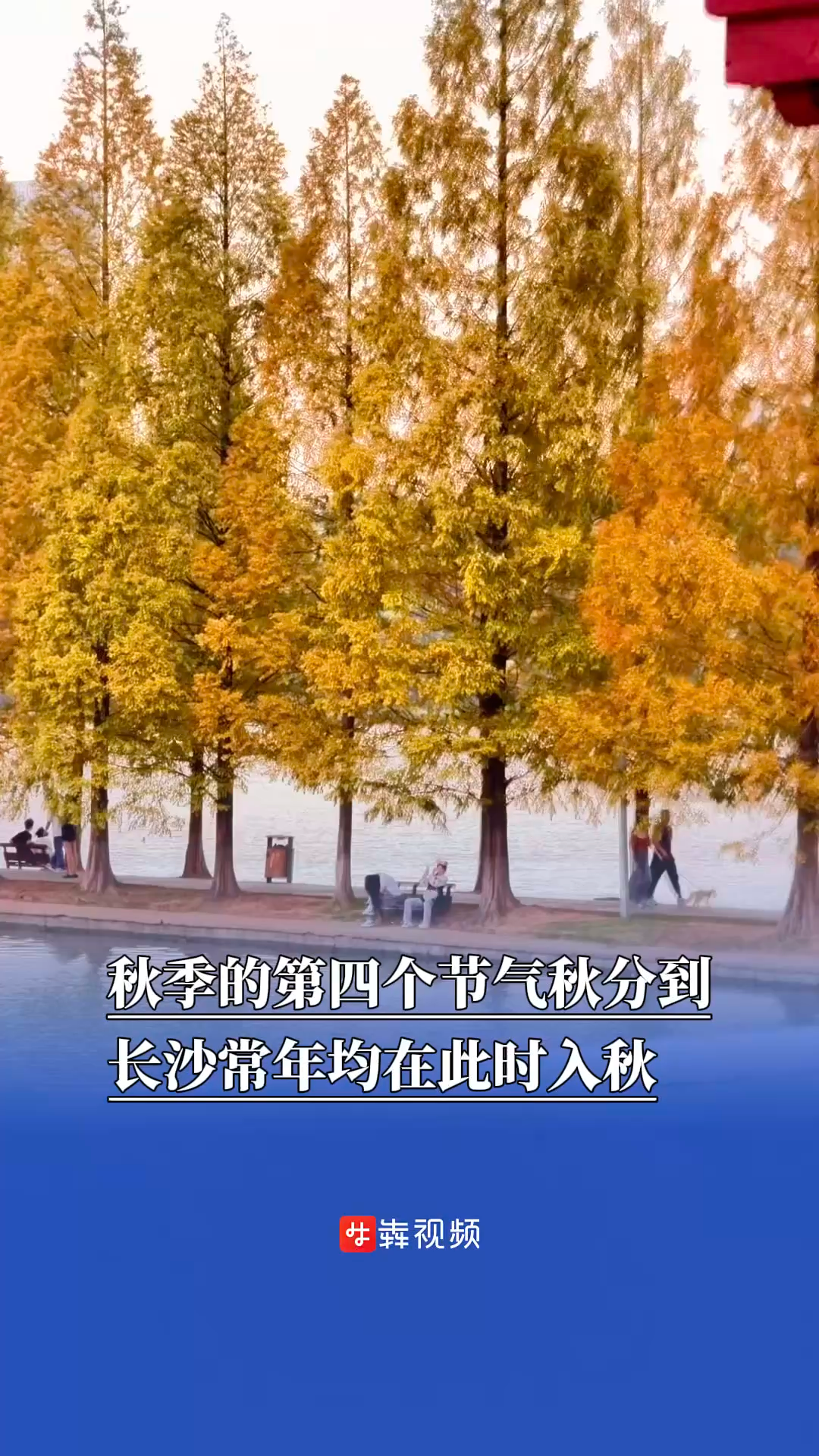 秋季的第四个节气秋分到，长沙常年均在此时入秋