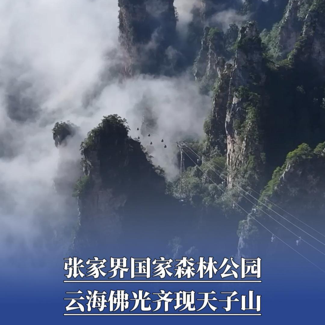张家界国家森林公园：云海佛光齐现天子山 