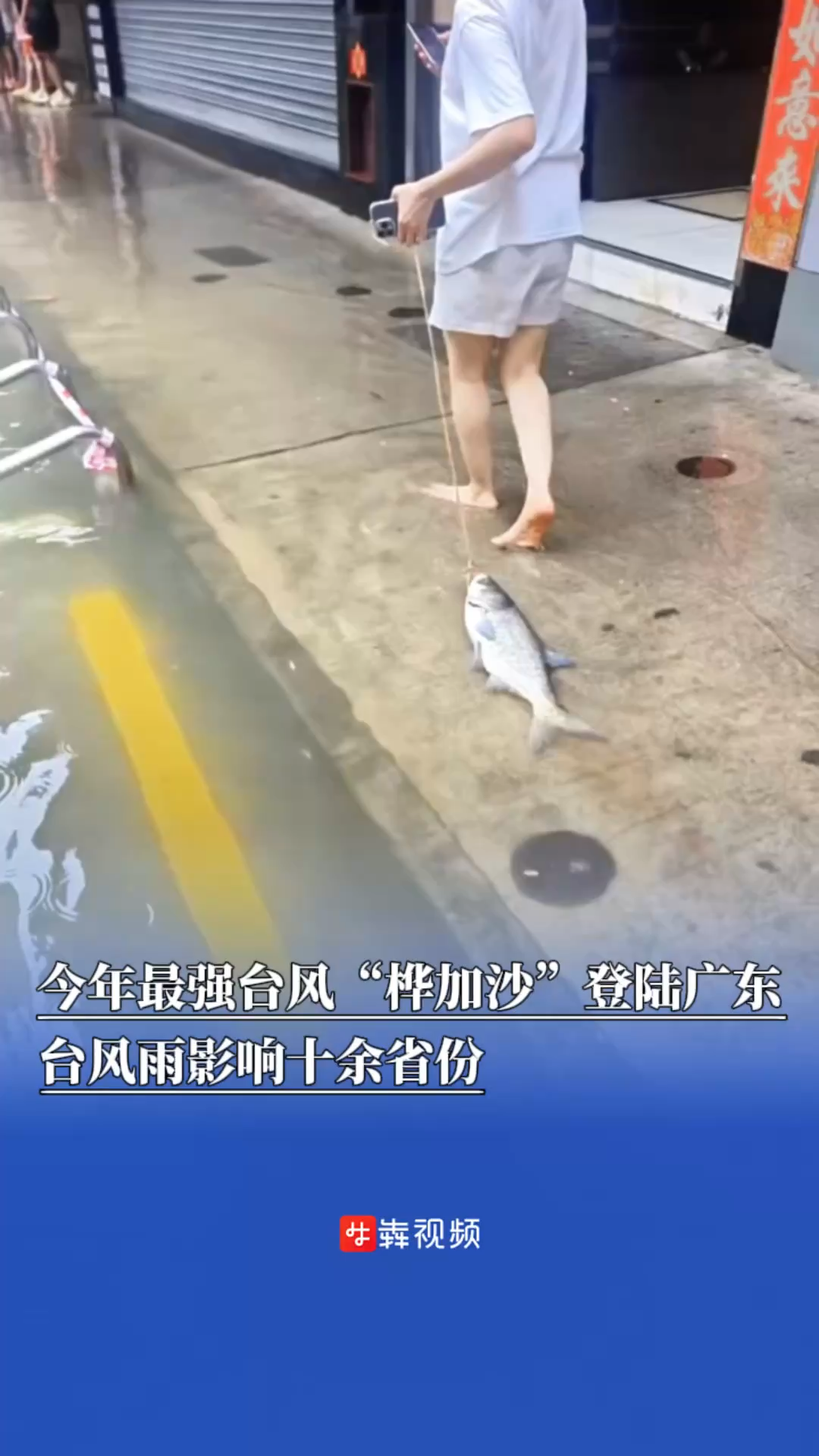 今年最强台风“桦加沙”登陆广东，台风雨影响十余省份