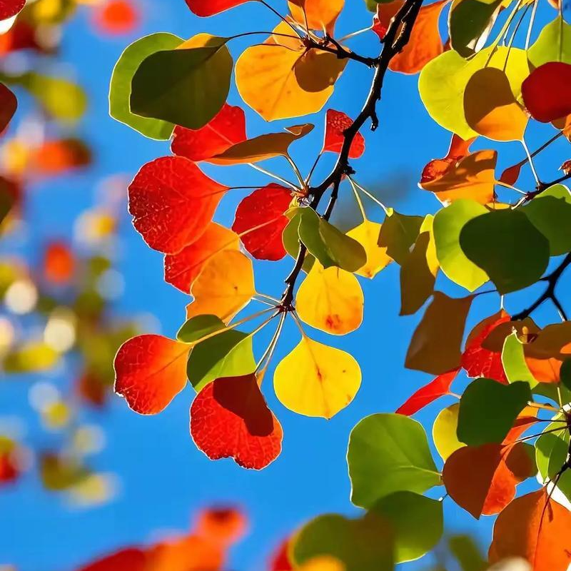 天凉贪暖食？当心肠胃病“秋后算账”