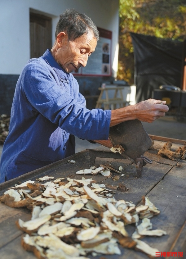 开发药膳、药饮、药妆，湖南促进中医药产业高质量发展