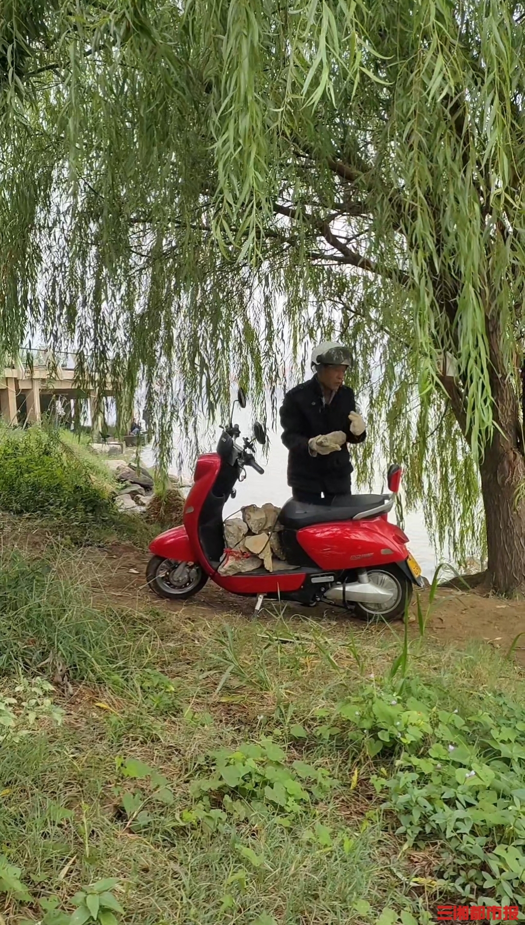 长沙爹爹“愚公移山”式救树，连续16个月运石垒土