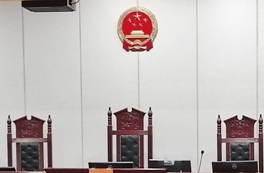宠物猫治疗后主人拒付费弃养，法院：宠物归医院，费用原主付