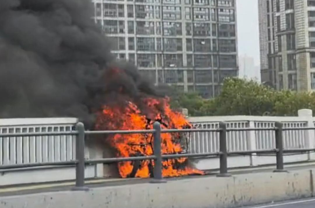 长沙橘子洲大桥一电瓶车行驶中自燃，消防迅速处置无人伤亡
