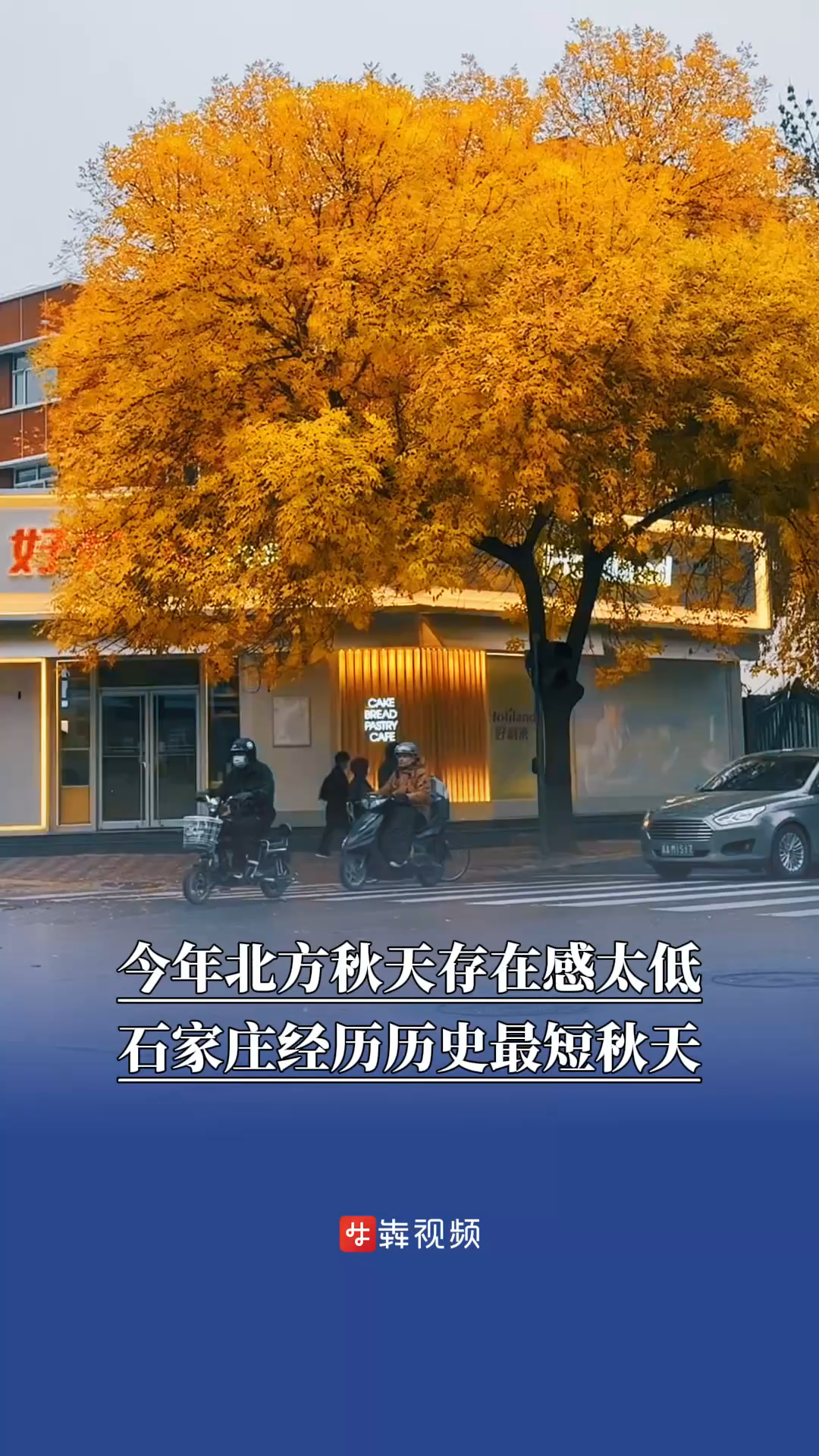 今年北方秋天存在感太低，石家庄经历历史最短秋天