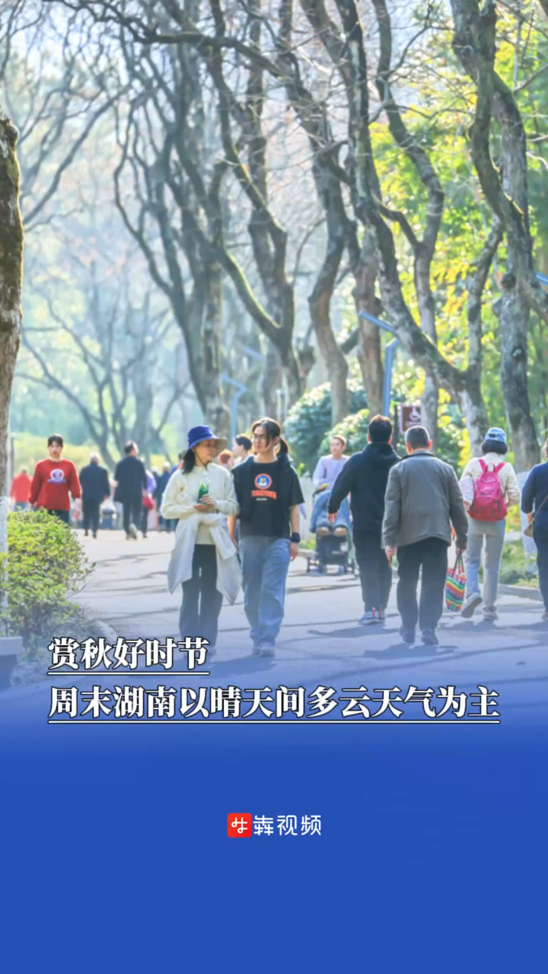 赏秋好时节，周末湖南以晴天间多云天气为主