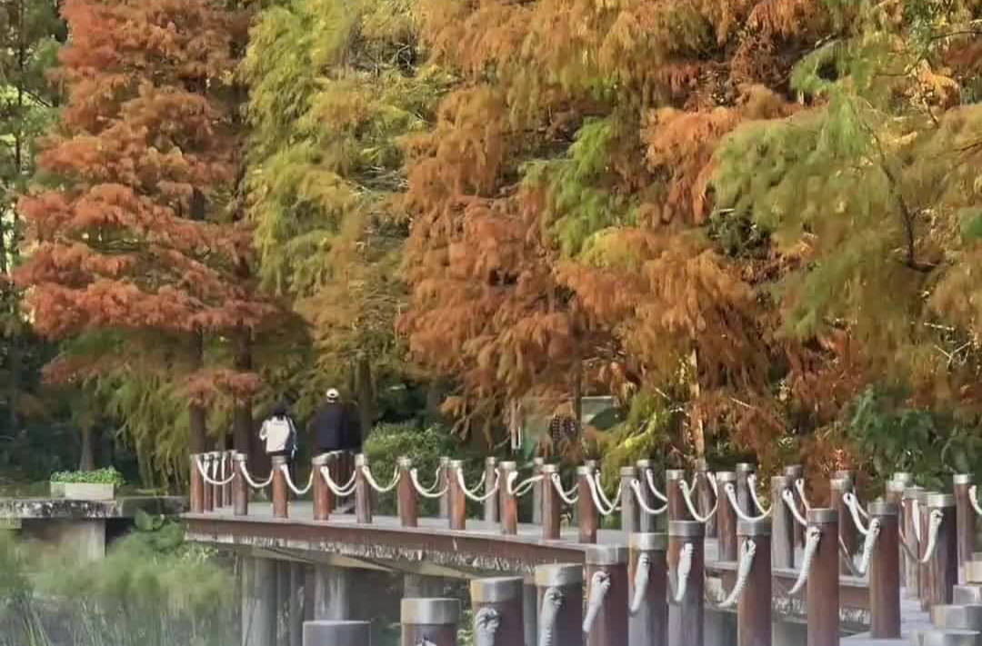 深圳于10月21日入秋,为1998年以来最早