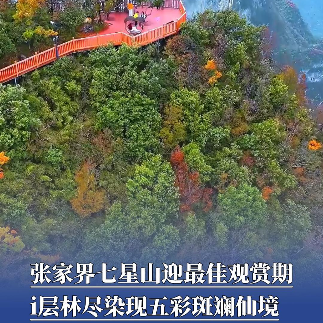 张家界七星山迎最佳观赏期，层林尽染现五彩斑斓仙境